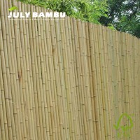 High Quality Rolling Bamboo Fence Natural Bamboo Fence for Wall for Garden